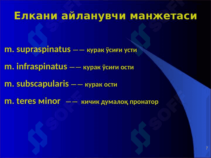 ЕЛКА КАМАРИ ВА КЎКРАК  ҚАФАСИ ШИКАСТЛАРИ 7
