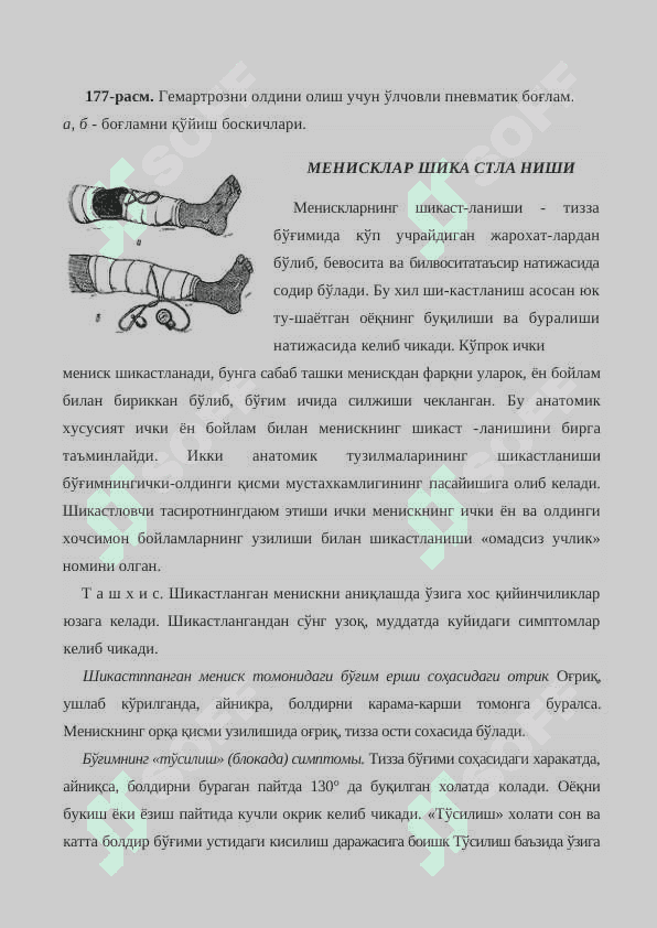 ТИЗЗА БЎҒИМШИКАСТЛАНИШЛАРИ 6