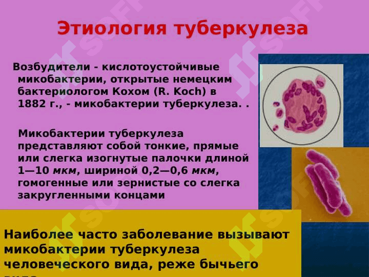 Туберкулёз эпидемиология способы передачи методы  контроля профилактика 5