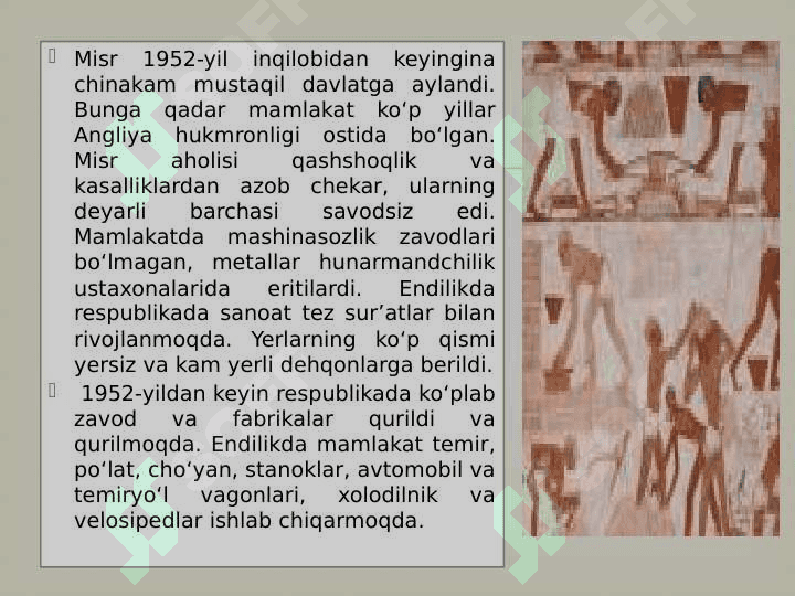 9-sinf geografiya Misr Arab Respublikasi 3