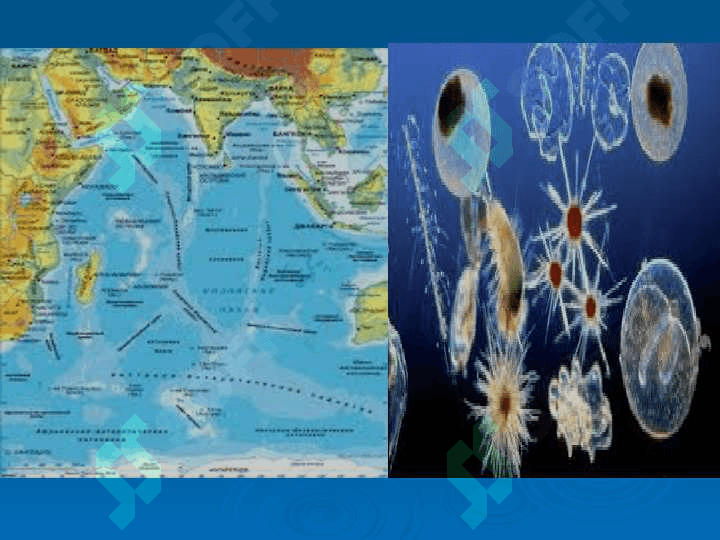 7-sinf geografiya Hind okeani 2
