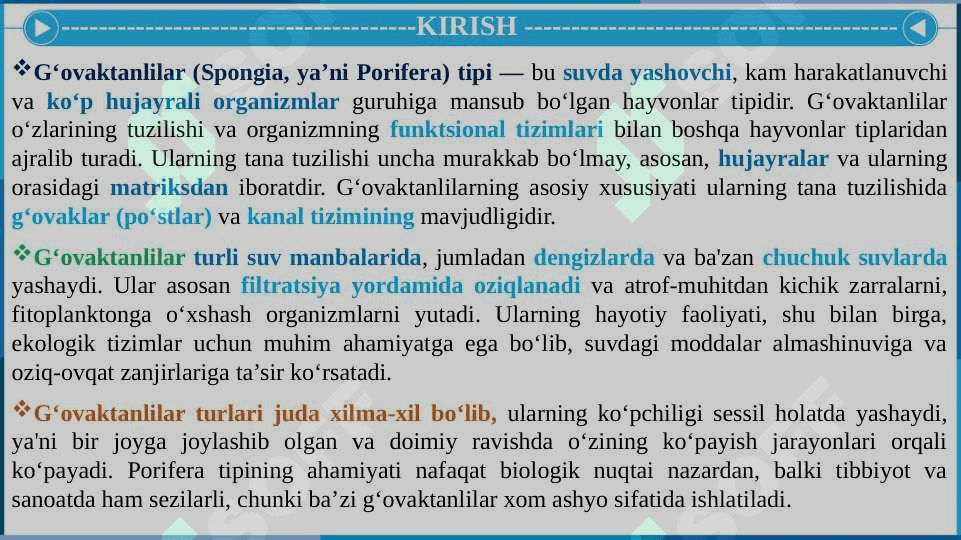 G‘OVAKTANLILAR (SPONGIA, YA’NI PORIFERA) TIP 3