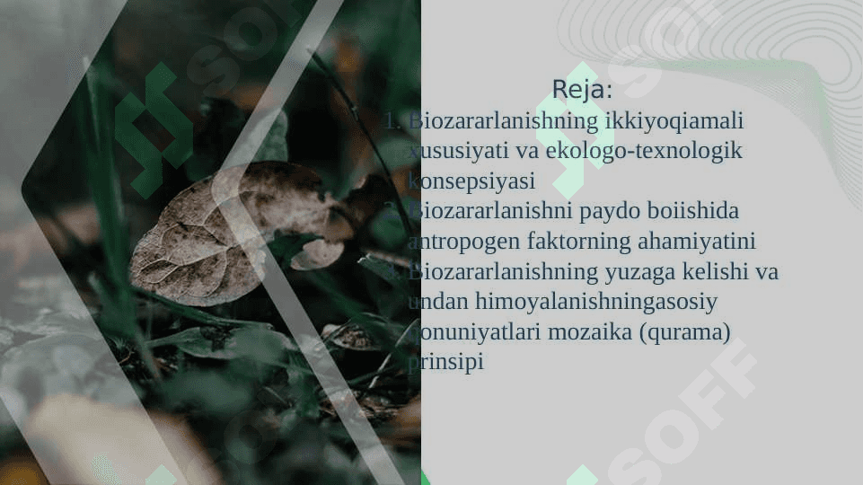 Biozararlanishning kelib chiqish sabablari bilan tanishuv 2