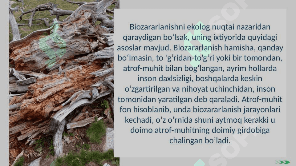 Biozararlanishning kelib chiqish sabablari bilan tanishuv 4