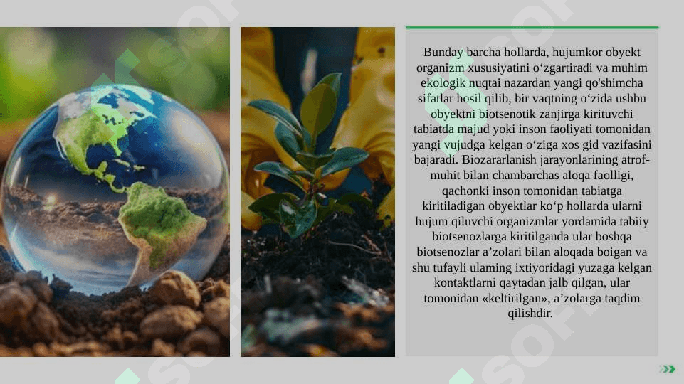 Biozararlanishning kelib chiqish sabablari bilan tanishuv 6