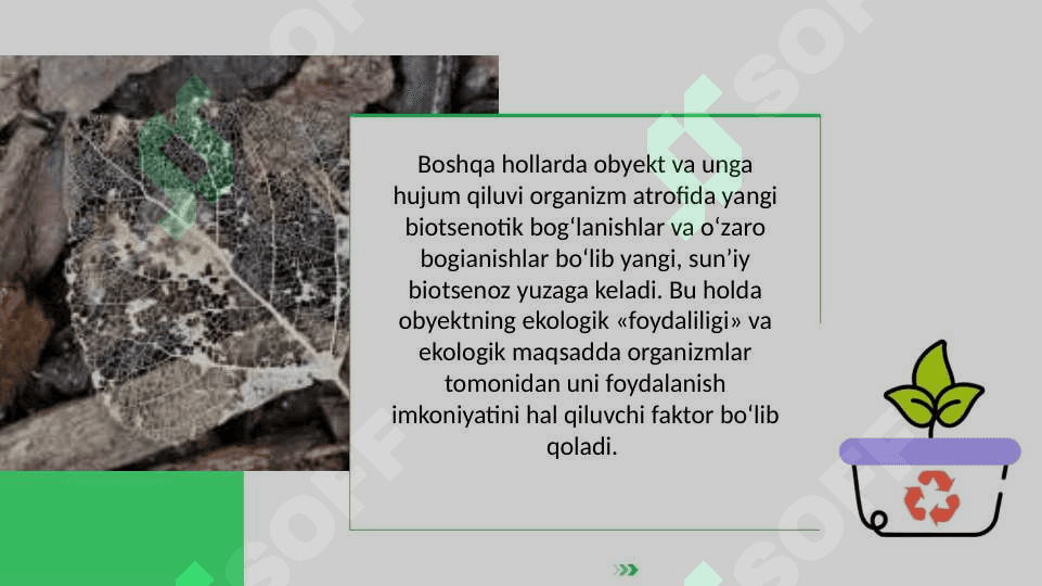 Biozararlanishning kelib chiqish sabablari bilan tanishuv 7
