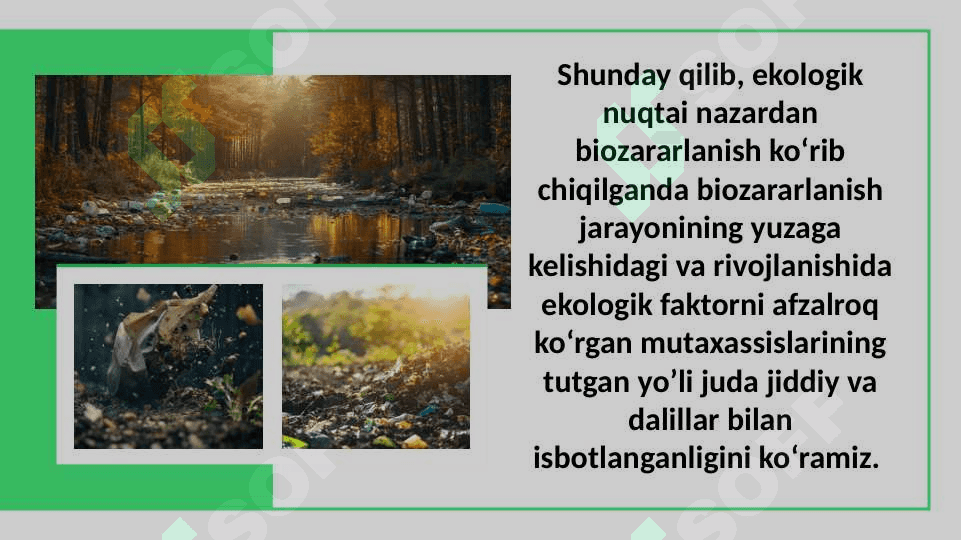 Biozararlanishning kelib chiqish sabablari bilan tanishuv 8