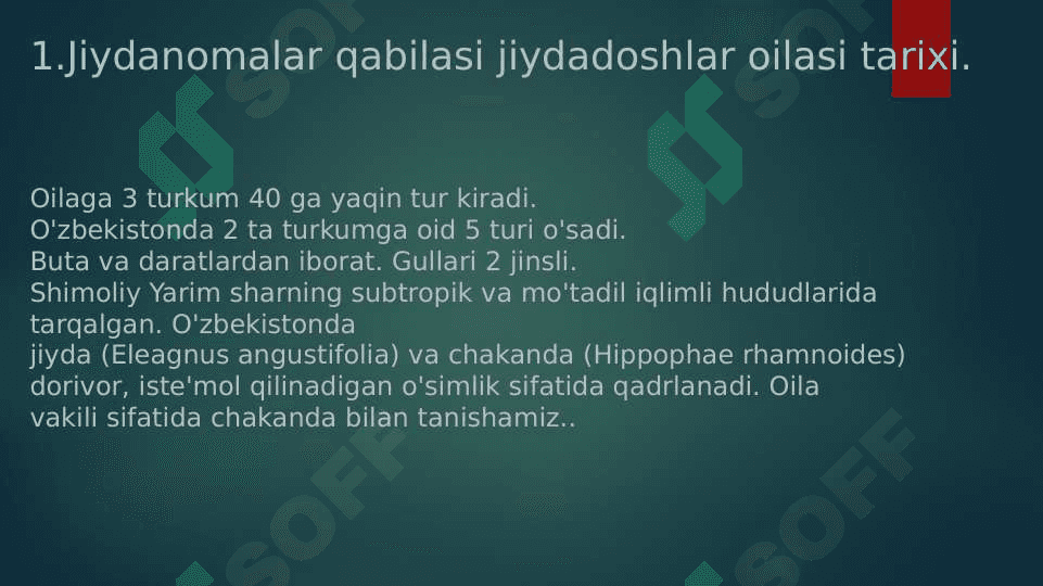 Jiydadoshlar oilasi 6
