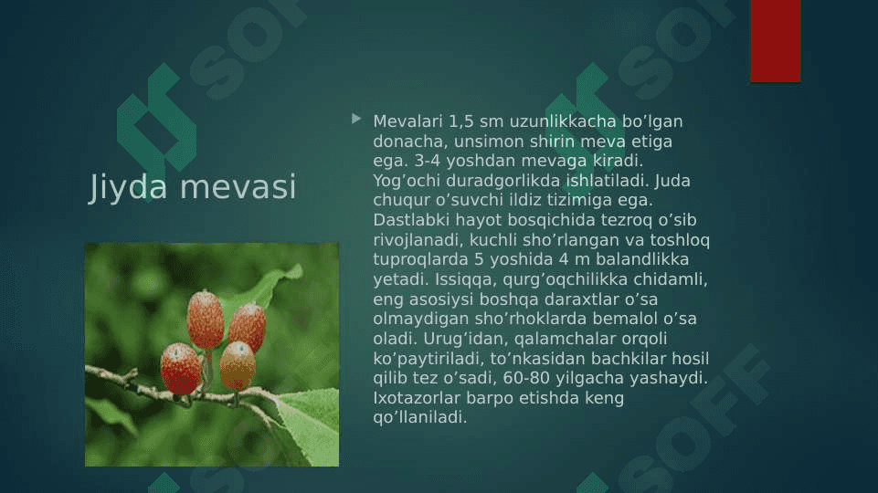 Jiydadoshlar oilasi 8