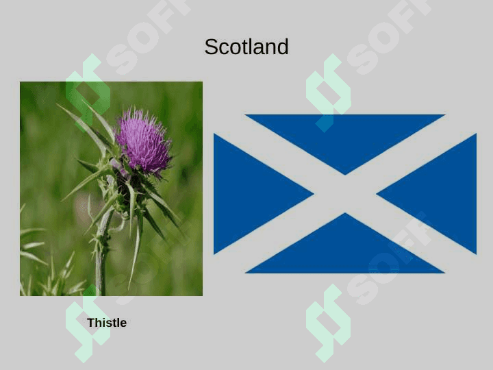 The United Kingdom 6