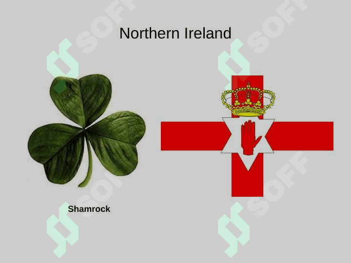 The United Kingdom 7