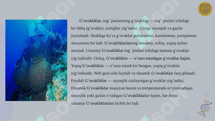 Go'vaktanlilar tipi 3