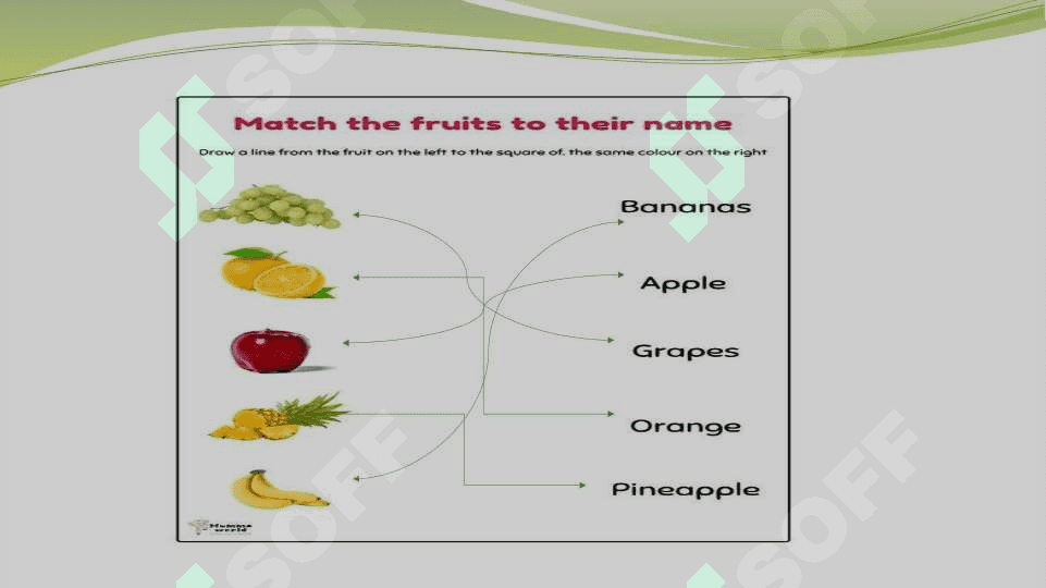 FRUITS 4