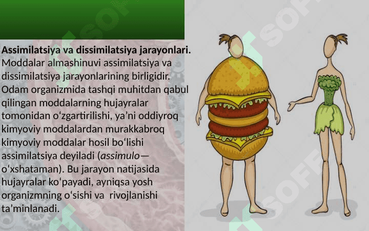 8_sinf_biologiya_Moddalar_energiya_almashinuvi_haqida_umumiy dars ishlanma 3