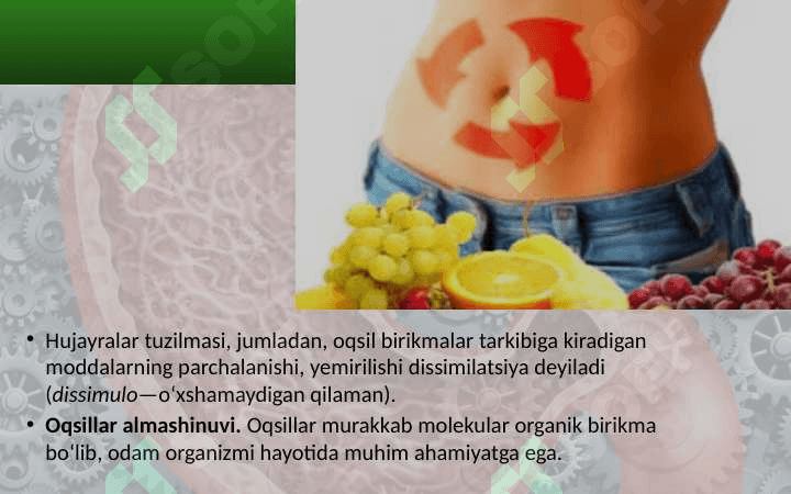 8_sinf_biologiya_Moddalar_energiya_almashinuvi_haqida_umumiy dars ishlanma 4
