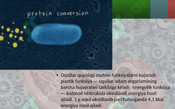 8_sinf_biologiya_Moddalar_energiya_almashinuvi_haqida_umumiy dars ishlanma 5