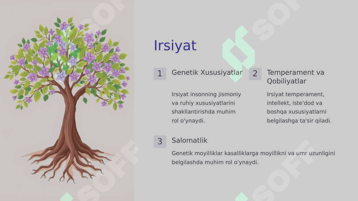 Shaxs Rivojlanishiga Ta'sir Etgan Omillar 2