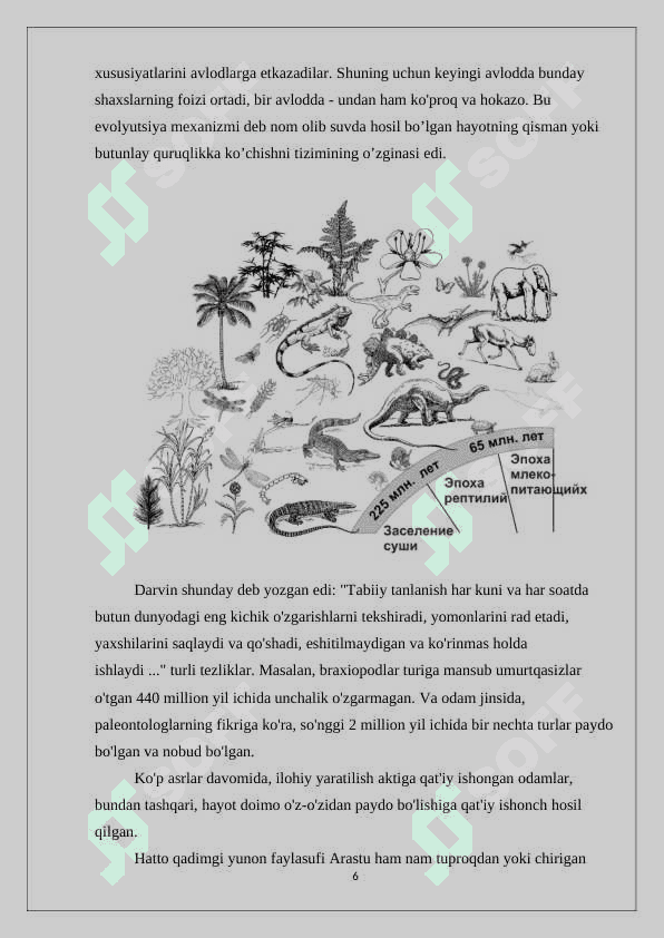 Suvda hamda quruqlikda yashovchilar kelib chiqishi va evolyutsiyasi. Kurs ishi 6
