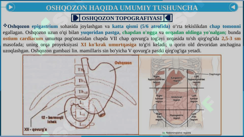 OSHQOZON DISPEPSIYASI SINDROMI 4