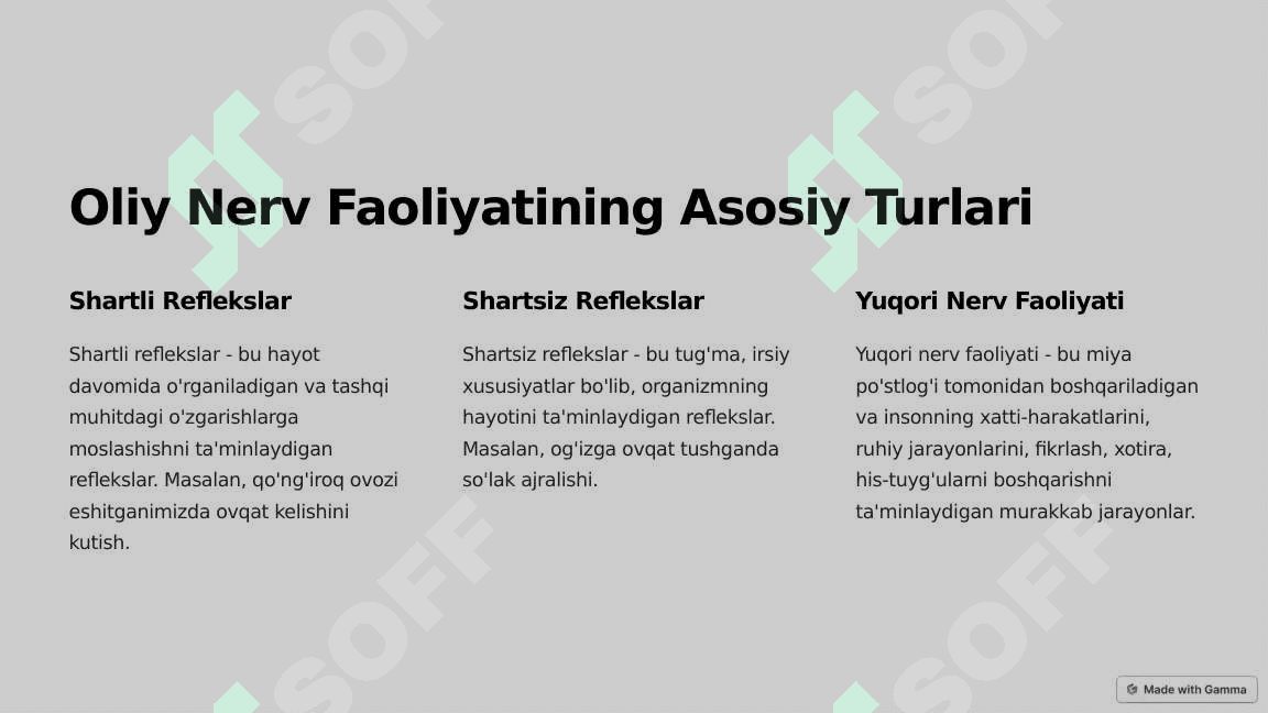 Markaziy nerv faoliyatining oliy nerv faoliyati 3