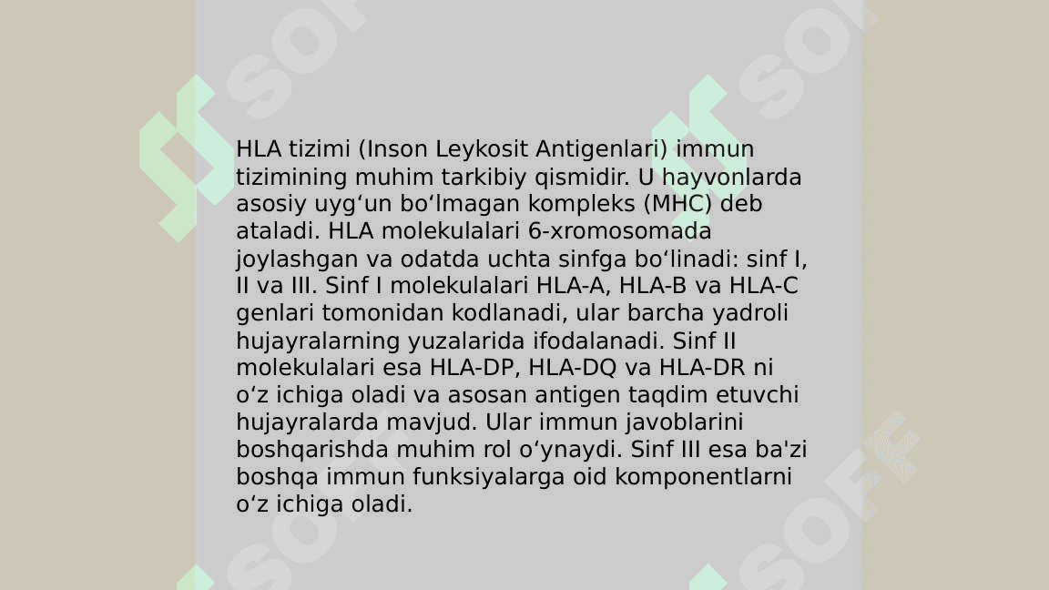 HLA- tizimi (MHC-tizimi). Komplement tizimi 3