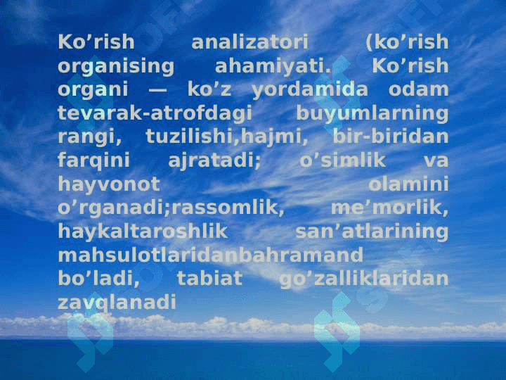 Sezgi organlari 3