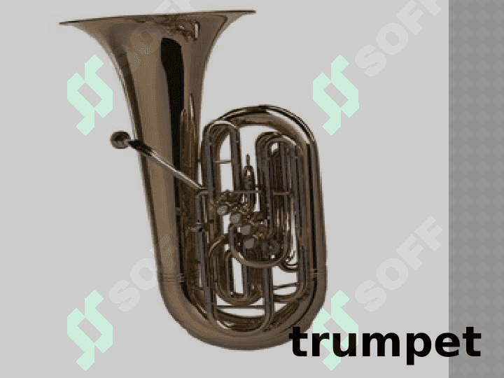 7-sinf ingliz tili Musical instruments 8
