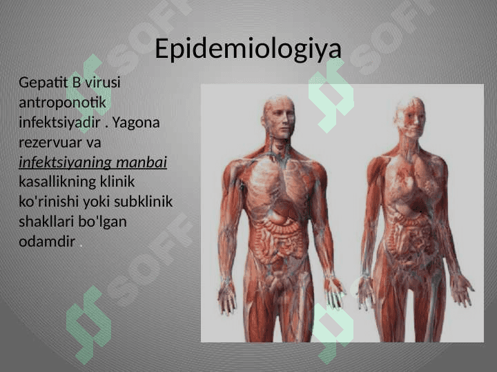 Virusli gepatit b ni davolash 6