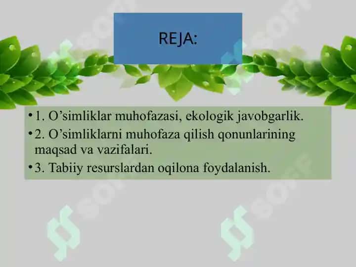O’simliklar Muhofazasi va Ulardan Oqilona Foydalanish 2