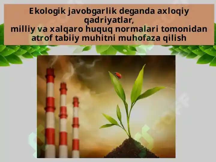 O’simliklar Muhofazasi va Ulardan Oqilona Foydalanish 3