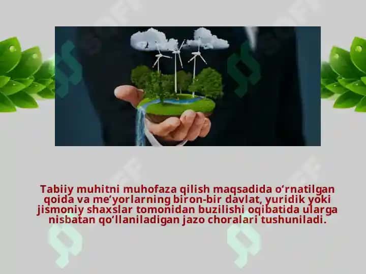 O’simliklar Muhofazasi va Ulardan Oqilona Foydalanish 4
