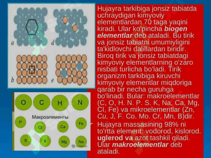 Noorganik Ionlarning ahamiyati va vazifasi 5