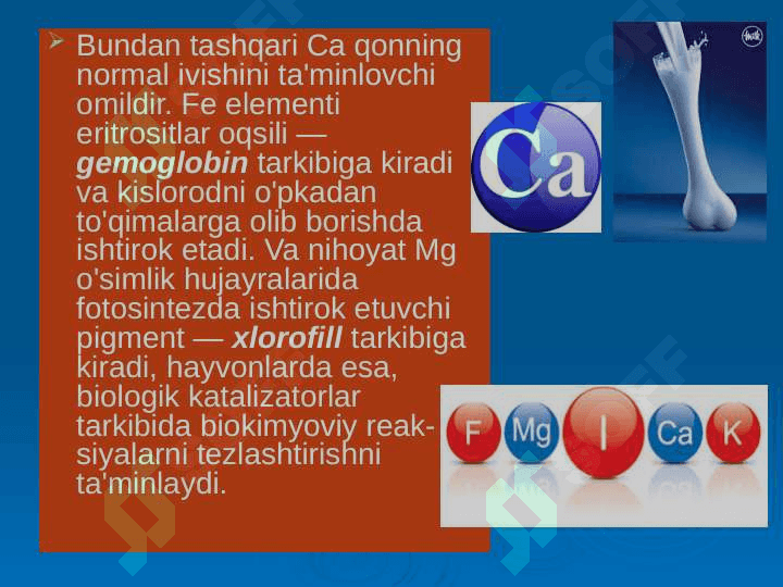 Noorganik Ionlarning ahamiyati va vazifasi 7