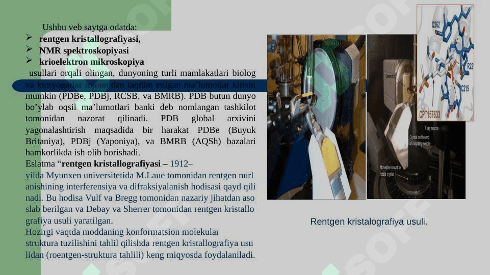 PROTEIN MA’LUMOTLAR BAZALARI 5