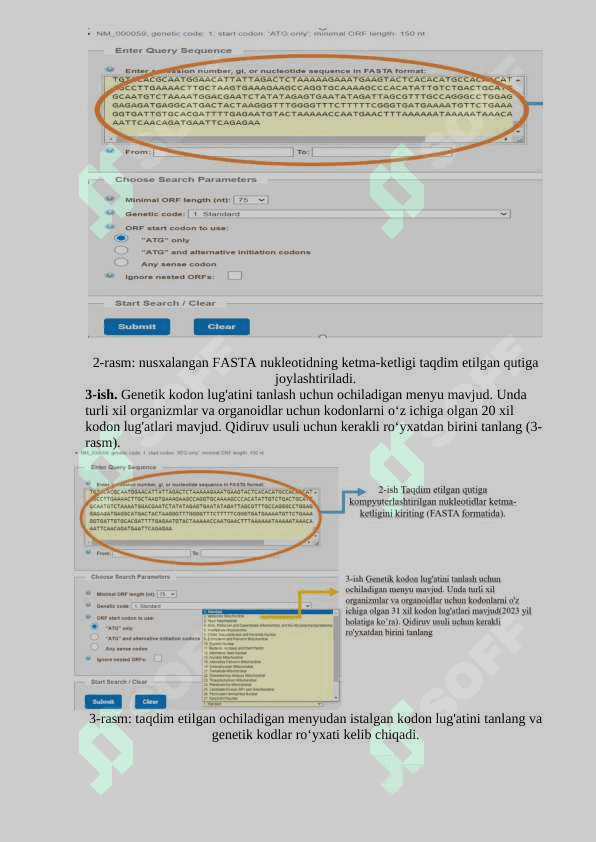 Hisoblashning ochiq ramkasini izlash. ORF Finder dasturida ishlash. 8
