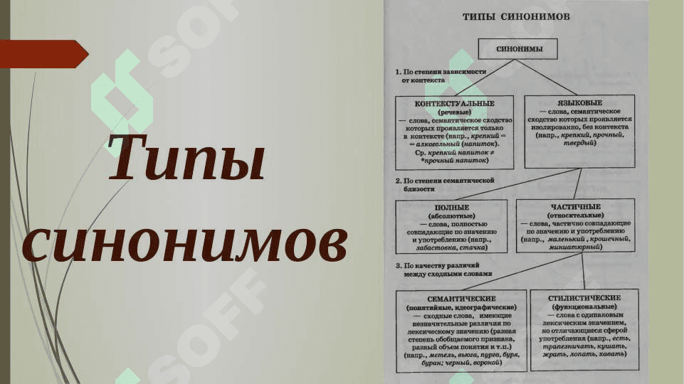 Синонимы. Антонимы. Омонимы. 3