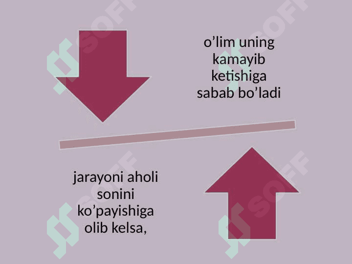 Demografiya 6