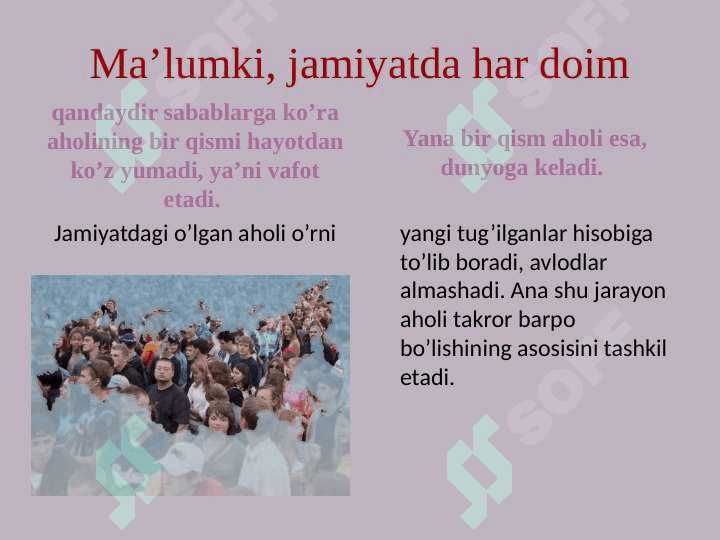 Demografiya 8