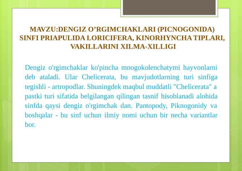 DENGIZ O’RGIMCHAKLARI PICNOGONIDA