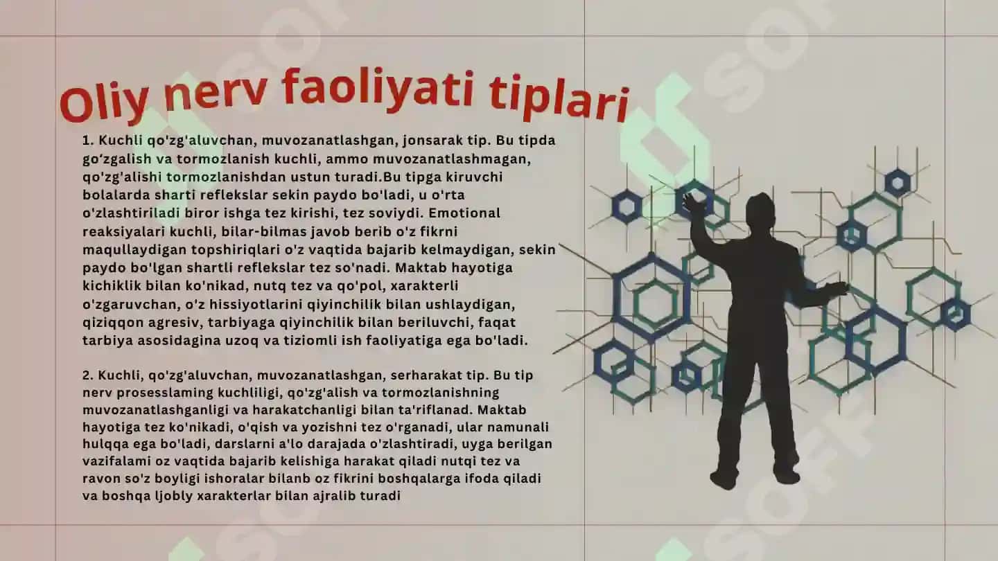 Oliy nerv faoliyatining tiplari 6