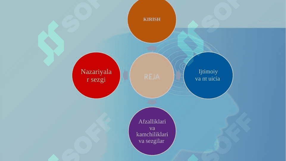 Sezgi 3