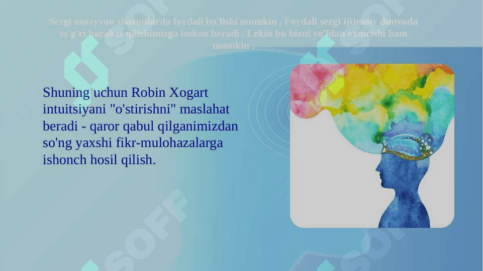 Sezgi 7