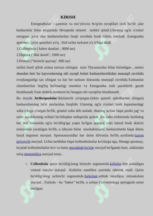 Proturalar 3