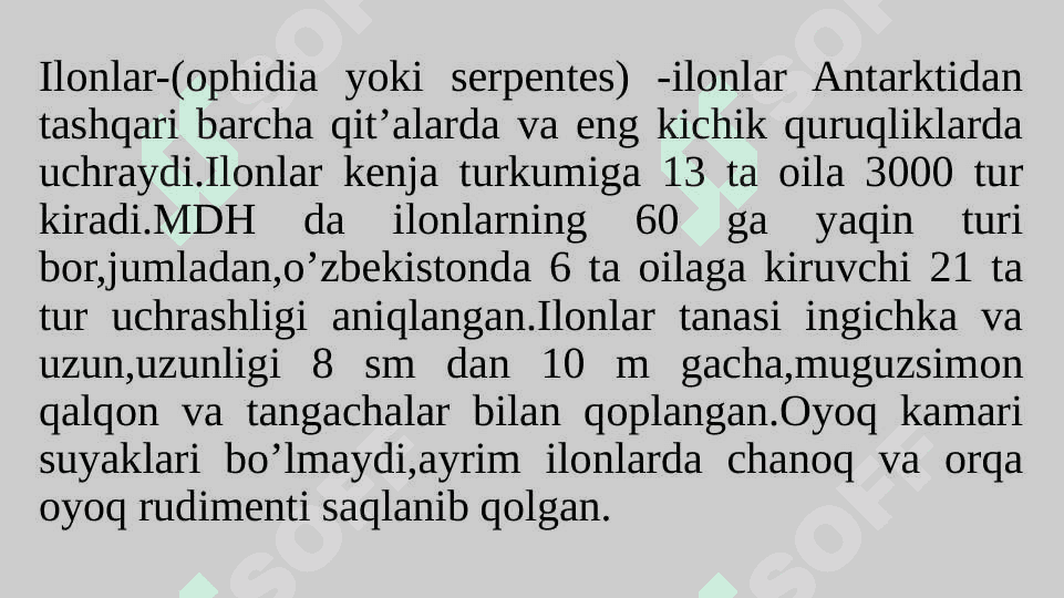 Ilonlarning tuzilishi,hayot kechirishi 3