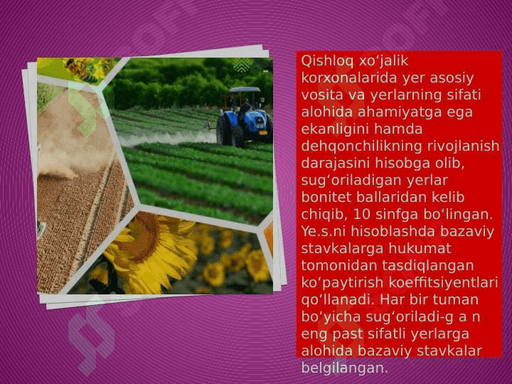 Yer resurslaridan olinadigan soliqning o’ziga xos xususiyatlari 3