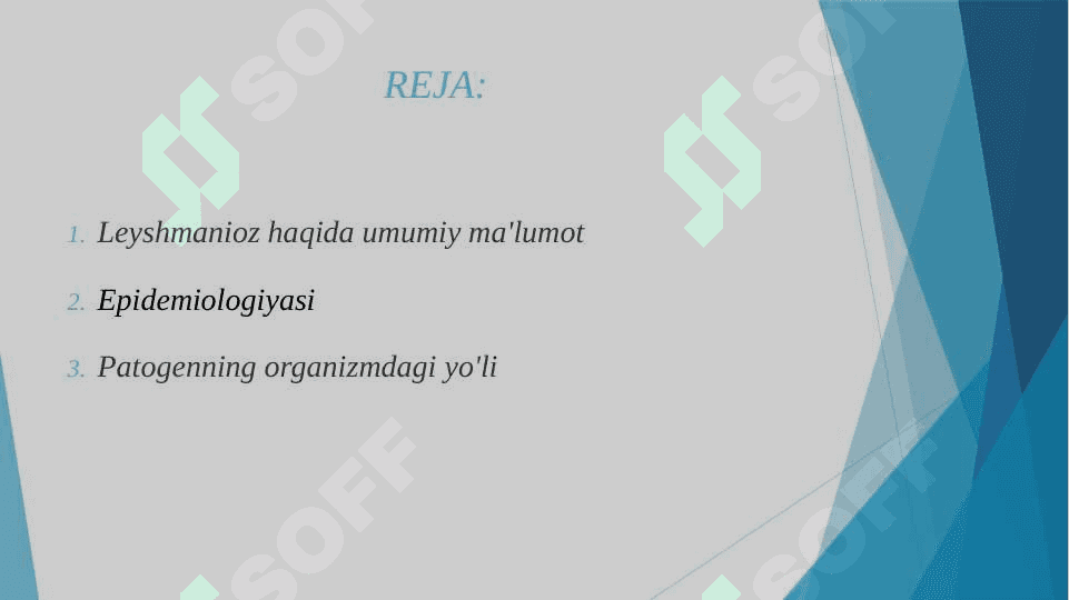 Leyshmanioz teri va visseral shakli. Epidemiologiyasi,patagenezi,klinikasi, laborator diagnostika va davolash 2