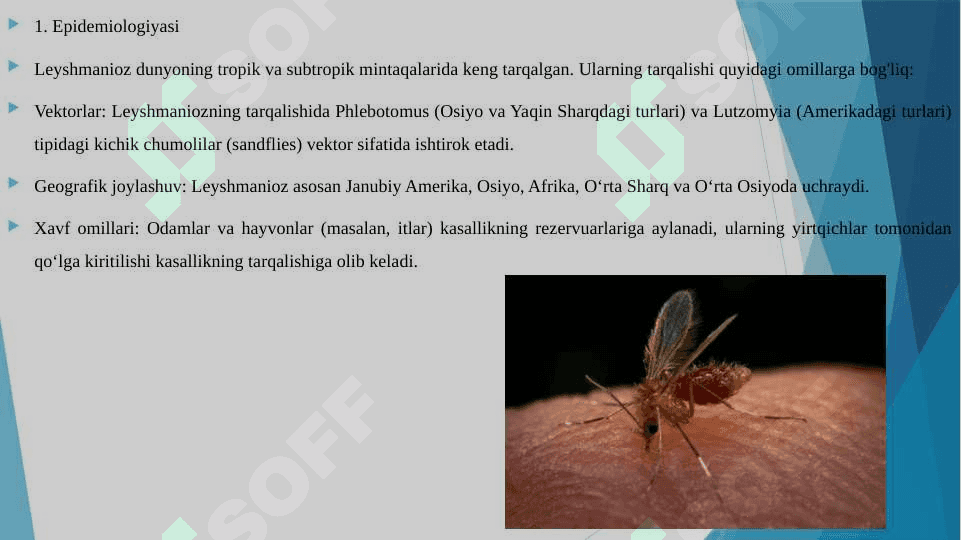 Leyshmanioz teri va visseral shakli. Epidemiologiyasi,patagenezi,klinikasi, laborator diagnostika va davolash 4