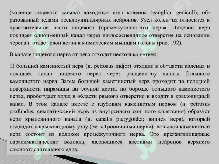 Черепномозговые нервы 5