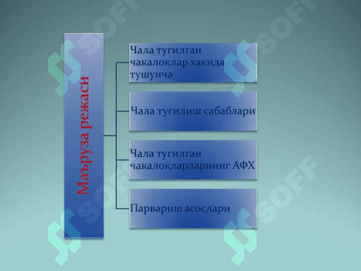 Чала тугилган чакалоклар 2