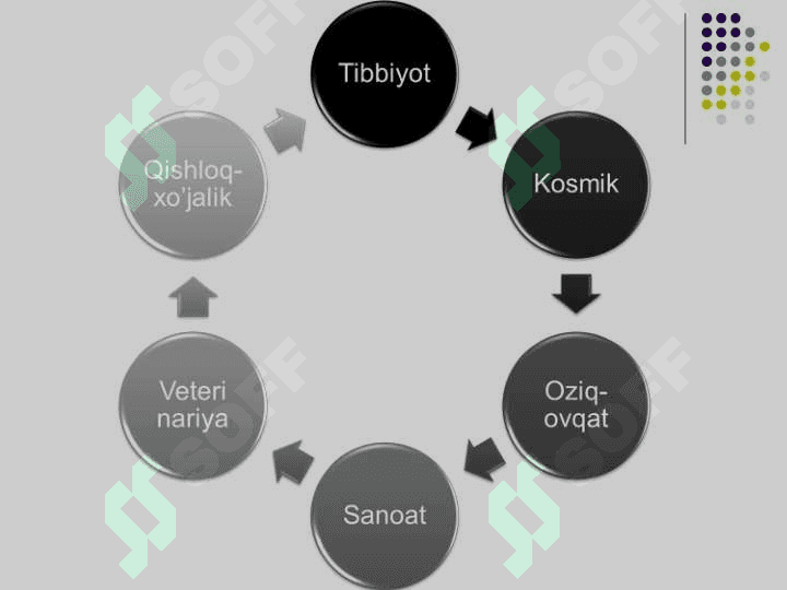 Микробиология, вирусология ва иммунология фани,унинг максади ва вазифалари. Микроорганизмларнинг морфологияси. 6